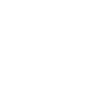logo_verdiero